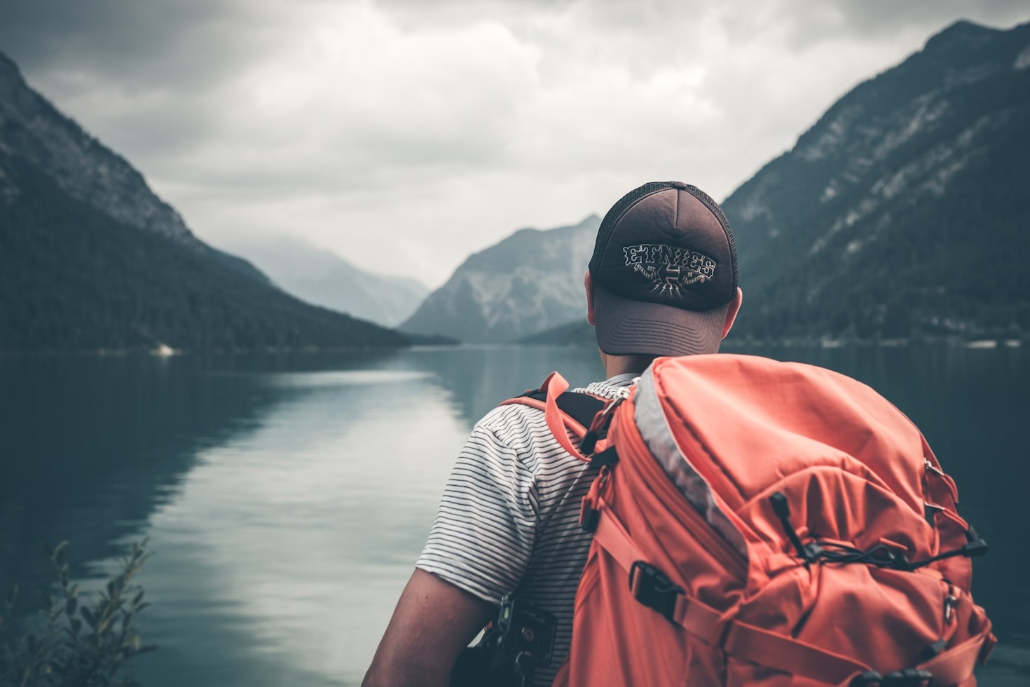 Como preparar seu pet para grandes viagens